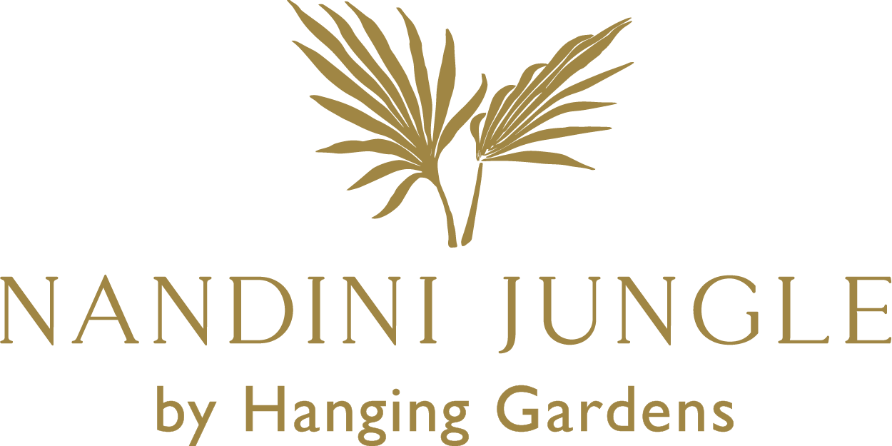Nandini Jungle