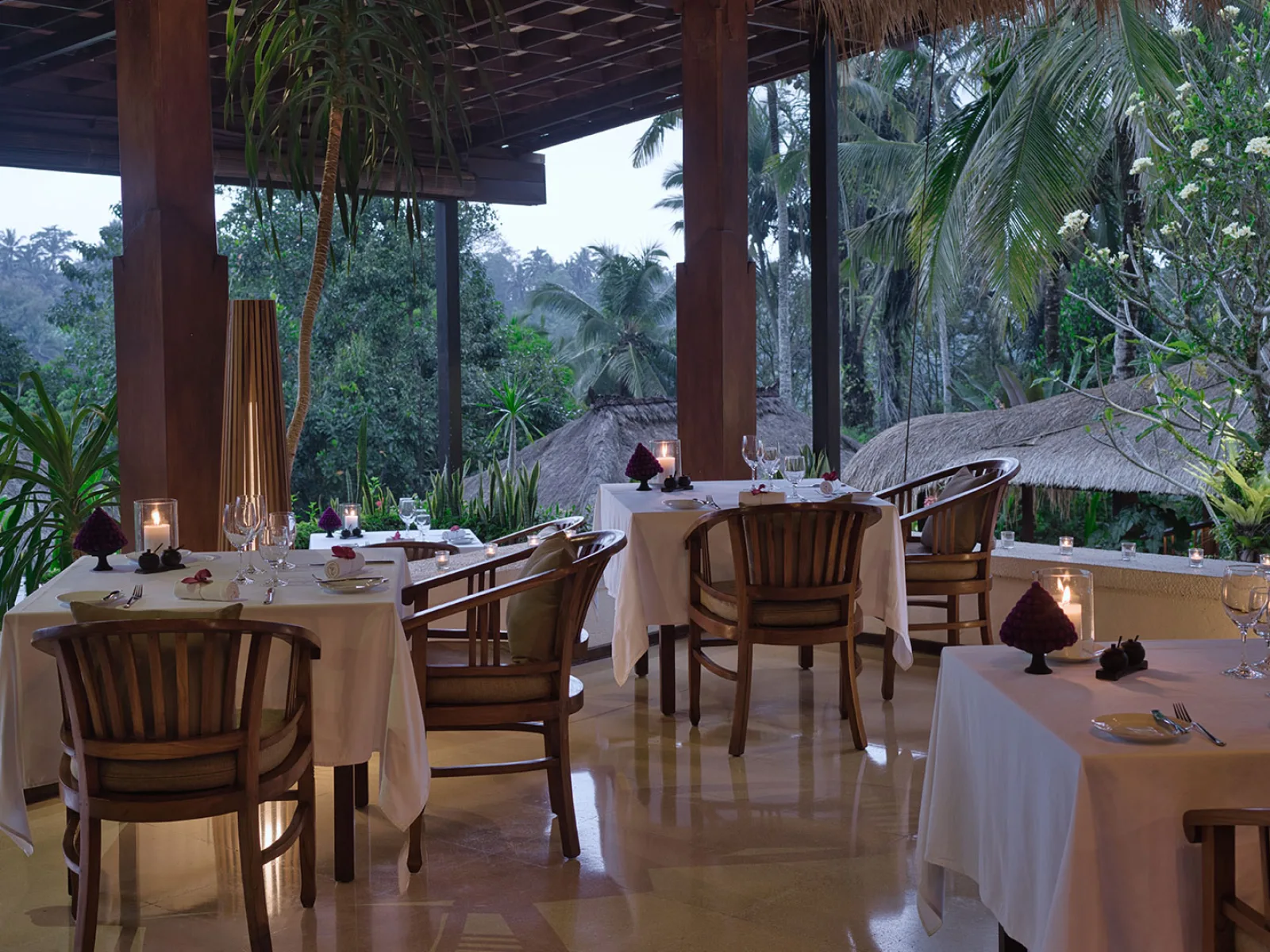 the wild ginger restaurant 3